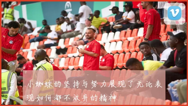 小蜘蛛的坚持与努力展现了无论表现如何都不放弃的精神